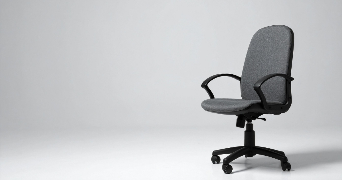 entrada en vigor ley silla